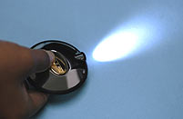 Dalvey Flashlight 
